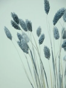 25/50/100pcs Assorted Colors Gem Grass Dried Flowers/Everlasting Flowers For Home Decor, Vase Decor, DIY Flower Bouquets, Cake Decorations Gifts Birthday Graduation,Fall Decor,Autumn