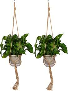 1/2/4PCS Brown Planter Hanging Rope, Tasseled Plant Hangers, Planter Stands - Indoor Balcony Stands, Outdoor And Garden Supplies - Multicolor - View 9