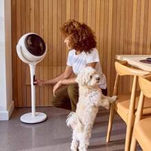 Lume Remote Control Fan LED Backlight Timer Ultra Quiet 3D Oscillating Air Circulator Converts Pedestal Desk Fan 3 Modes 12 Speeds 1.5m Cable - StoneWhite1 - View 4