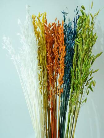 15/30/60 st torkade naturliga vita havreblommor, äkta naturliga blekta Avena-blommor veteknippe för bröllops- och juldekorationer, gör-det-själv-hemarrangemang