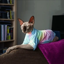 Autumn/Winter Cute Sphynx Cat Striped T-Shirt In Retro Style, Unisex Pet Undergarment