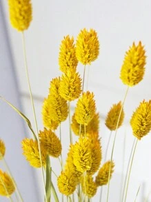 25/50/100 piezas Flores secas de gemas/Flores Everlasting, opciones de multicolor, para decoración del hogar, decoración de jarrones, ramos DIY, decoración de pasteles
