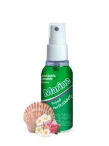 AUROMATIZANTES CHEIRINHO PERFUME E AUTOMOTIVO E AMBIENTE SPRAY PERFUMADOR 60ML - Verde - Visão 2