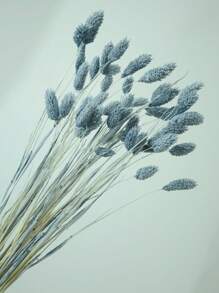 25/50/100pcs Assorted Colors Gem Grass Dried Flowers/Everlasting Flowers For Home Decor, Vase Decor, DIY Flower Bouquets, Cake Decorations Gifts Birthday Graduation,Fall Decor,Autumn
