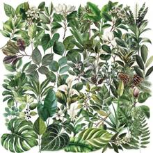 50pcs Transparent Plant Aesthetic Stickers Green Plant Stickers Craft Supplies PET Vinyl Sticker - Multicolor - View 1