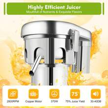 Rainaut Stainless Steel Juice Extractor Machine Fruit Juicer 370W Heavy-Duty, 2800RPM,110V, 60Hz,  36.5*29*36.5cm/14.37*11.41*14.37in - US A Type Plug(110-127V) - View 1