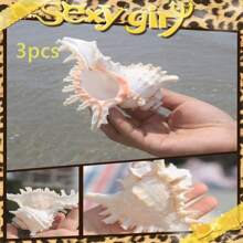 3pcs 白色千手螺 海螺壳 格氏骨螺 寄居蟹 壳替换物 卷贝鱼 寄居鱼缸 家居装饰