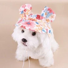 1 件装宠物帽子带耳孔可调节抽绳棒球狗帽适合中小型犬夏季染色猫咪遮阳帽宠物户外徒步运动帽用品
