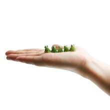 10pcs Resin Mini Green Frog Statue, Animal Model, Fairy Garden Miniature Moss Landscape DIY Glass Container Craft Decor Accessories