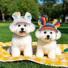 1 件装宠物帽子带耳孔可调节抽绳棒球狗帽适合中小型犬夏季染色猫咪遮阳帽宠物户外徒步运动帽用品