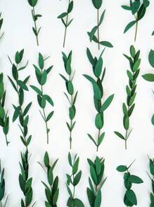 15/30/60 Unidades/Caja Hojas de eucalipto para hacer jabón, manualidades DIY, flores secas, flores inmortales, decoración del hogar