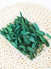 15/30/60 Unidades/Caja Hojas de eucalipto para hacer jabón, manualidades DIY, flores secas, flores inmortales, decoración del hogar