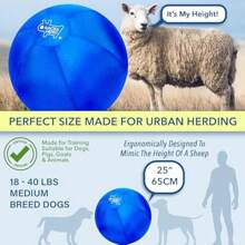 25 Herding Ball Set For Dogs Australian Shepherd Cattle Dogs Collie Herding Dog Dual Layered Horse Ball  Training Guide - as pic - View 2