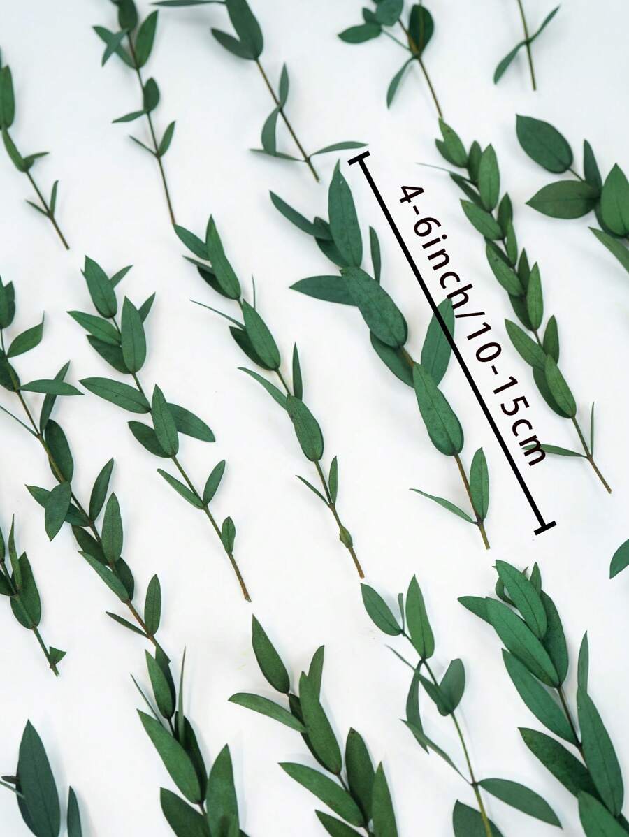 15/30/60 Unidades/Caja Hojas de eucalipto para hacer jabón, manualidades DIY, flores secas, flores inmortales, decoración del hogar