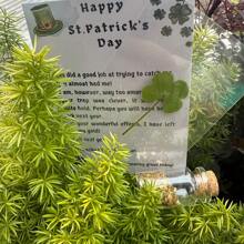 3-Piece St. Patrick's Day Card With Leprechaun Text, Lucky Four-Leaf Clover And Jar Of Treasure, The Perfect St. Patrick's Day Gift For Family And Friends (Includes A Card, A Real Four-Leaf Clover, And A Jar Of Treasure). - Multicolor - View 4
