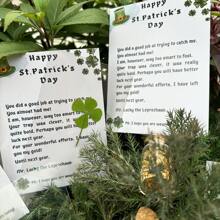 3-Piece St. Patrick's Day Card With Leprechaun Text, Lucky Four-Leaf Clover And Jar Of Treasure, The Perfect St. Patrick's Day Gift For Family And Friends (Includes A Card, A Real Four-Leaf Clover, And A Jar Of Treasure). - Multicolor - View 5