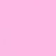 Rosa Fucsia