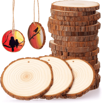 12 Pcs 9-10cm Round Wood Slices, Wooden Decorations Diy Crafts With Bark, Wood Ornaments For Crafts Party, Wedding Decoration, Party Diy Crafts (6 Pieces With Holes, 6 Pieces Without Holes)With Rope