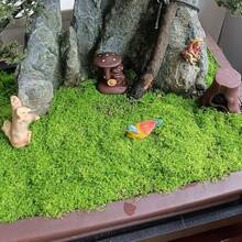 2Pcs Simulated Moss, Fake Moss, Grass Skin, Green Vegetation, Microlandscape, Plant Decoration, Artificial Pot Gifts Birthday Graduation