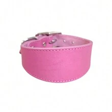 Collares de cuero acolchados suaves para galgos, whippets, lebreles y razas medianas y grandes, accesorios para mascotas