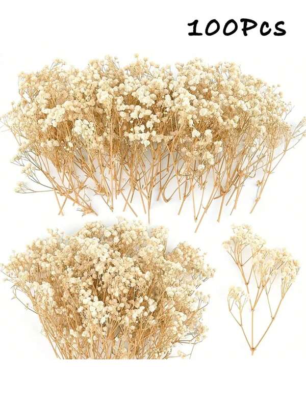 50/100/300 Pcs Mini Baby's Breath Flowers And Other Dried Flowers - For Resin Mold Art Craft, Ivory White Flowers Bouquet For Hair Accessory, Wedding Wreath, Table Vase, Home Decor Gifts Birthday Graduation