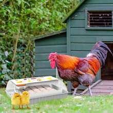 LILIIN Incubator Fully Automatic 10 Eggs / 20 Eggs Incubator Hatchery Incubator Chickens With Automatic Rotation System And Temperature Control Incubator For Hen