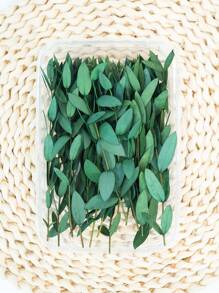 15/30/60 Unidades/Caja Hojas de eucalipto para hacer jabón, manualidades DIY, flores secas, flores inmortales, decoración del hogar