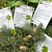 3-Piece St. Patrick's Day Card With Leprechaun Text, Lucky Four-Leaf Clover And Jar Of Treasure, The Perfect St. Patrick's Day Gift For Family And Friends (Includes A Card, A Real Four-Leaf Clover, And A Jar Of Treasure). - Multicolor - View 1