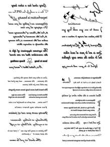 CAT QUEEN ART 4 件装黑色浪漫英文单词、心形、花卉、蝴蝶图案临时纹身贴纸，适合男女，日常、派对、节日礼物，装饰手臂、手腕、胸部、背部