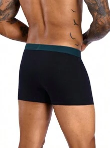 10pieces Pack Cotton Men Boxer Shorts Male Panties Underwear Brand And Underwear For Homme Luxury Set Box Briefs Kit - 彩色 - 查看 9