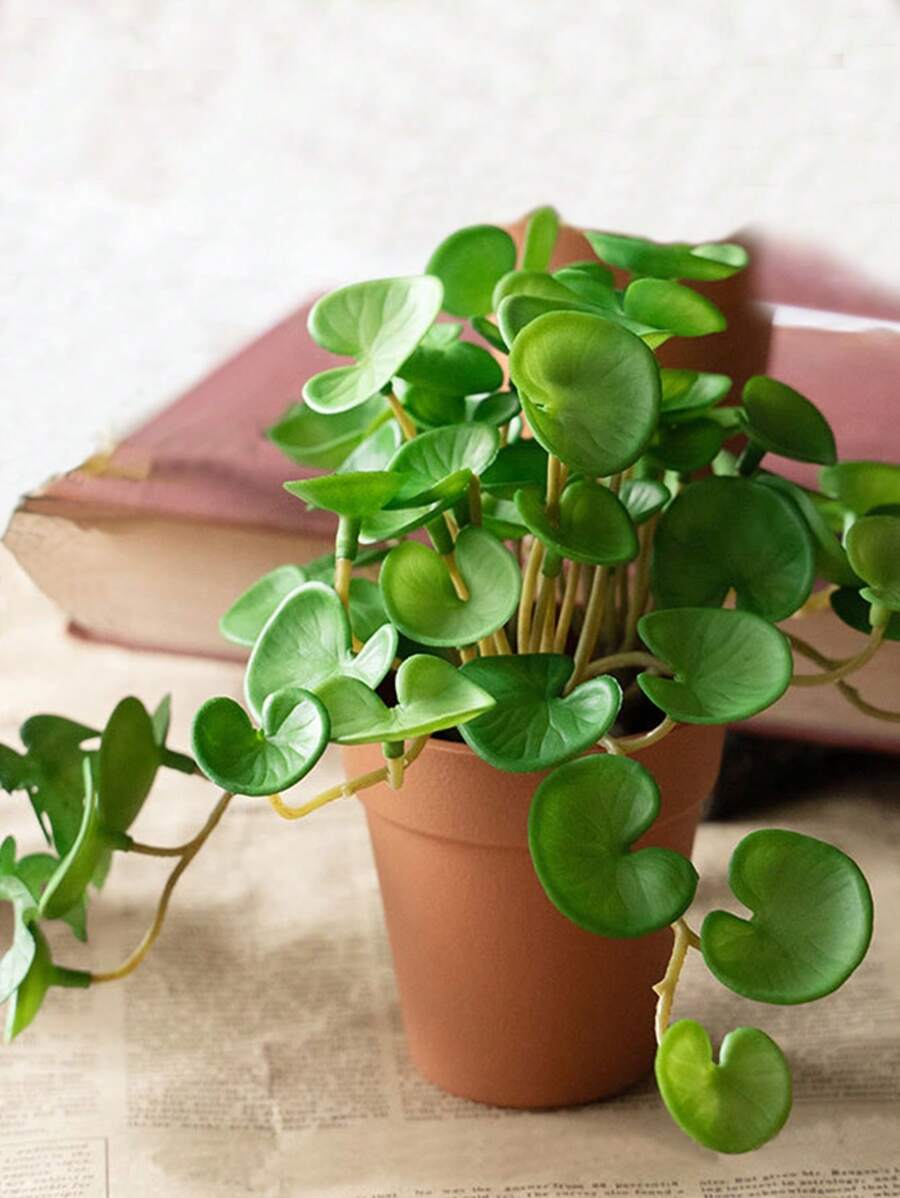 16cm Small Artificial Copper Coin Grass Fake Succulent Landscape Tropical Hydroponics Plants Plastic Begonia Leaves Green Centerpieces For Home Office Balcony Desktop Decoration Without Pot 1pc - Green - View 1
