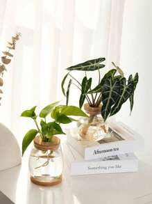 1 件透明玻璃花瓶，玻璃容器花瓶，适用于水培植物，单茎花瓶，非常适合家庭和办公室装饰、植物繁殖、母亲节礼物、办公室/家居装饰桌面花瓶 - 圓罐瓶 - 查看 5
