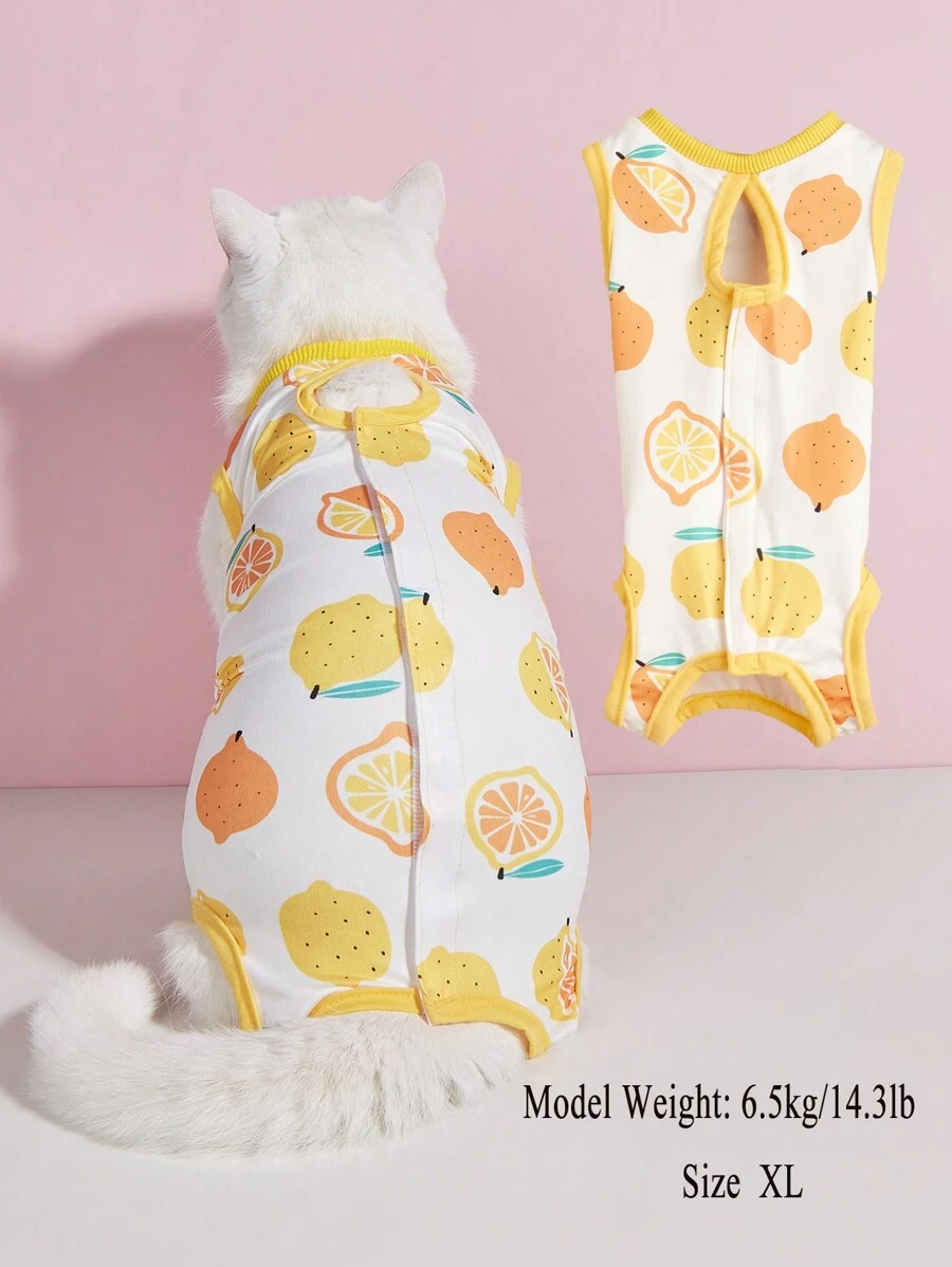 1 件柔软轻便的猫绝育手术/断奶衣服，4 条腿猫防舔保暖服