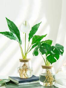1 件透明玻璃花瓶，玻璃容器花瓶，适用于水培植物，单茎花瓶，非常适合家庭和办公室装饰、植物繁殖、母亲节礼物、办公室/家居装饰桌面花瓶 - 圓罐瓶 - 查看 4