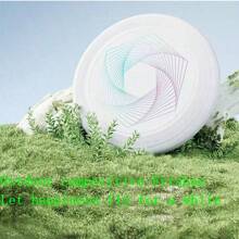 运动 175G 比赛户外手套 柔软专业竞技成人飞盘