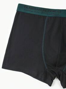 10pieces Pack Cotton Men Boxer Shorts Male Panties Underwear Brand And Underwear For Homme Luxury Set Box Briefs Kit - 彩色 - 查看 10
