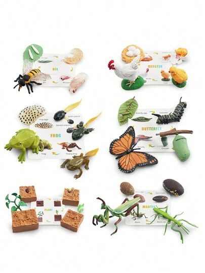 8/10pcs/Set, Life Cycle Learning & Education Toys Kit, Realistic Figurines Of Plants, Frogs, Butterfly, Rooster, Ladybug, Mosquito, Toddler Preschool Toys With Learning Cards