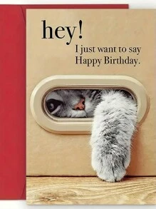 1 张独特的猫咪生日贺卡，送给家人和朋友的最佳礼物，带信封的生日快乐贺卡，不寻常的东西，可爱的美学物品
