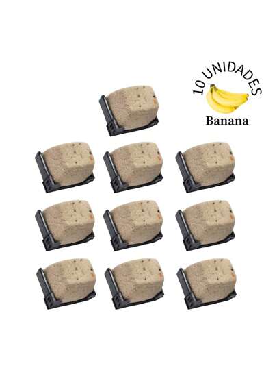 10 Unidades de Pedra de Calcio com Carvao Ativado - Calopsita Agapornes Passaros