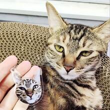 1pc Personalized Photo Keychain With Picture - Custom Acrylic Dog Cat Key Ring | Unique Gifts For Birthday, Anniversary, Parties, And Room Decorations Graduation