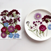 35pcs Dried Pressed Flowers For Resin Molds, Real Pressed Flowers Dry Leaves Kit For Art Crafts Resin Jewelry Making Scrapbook Supplies Card Making Soap Candle DIY Nails Decor| Valentine Day's Gift| Couple Gift| Christmas Gift Xmas Gift| Halloween Gift Decor