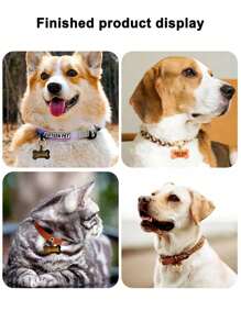 1 Miếng Pha lê Epoxy Nhựa Chó Khúc xương Hình dạng Vật rủ xuống Móc chìa khóa Với Khuôn silicon Để làm đồ trang sức DIY - trắng - Xem 5