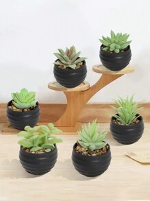 6株/套 仿真迷你多肉植物，绿色多肉，白色花盆，黑色花盆，PE材质，假植物，仿真多肉，桌面摆件，家居摆件，花园摆件，学校宿舍办公室摆件 - 彩色 - 查看 7