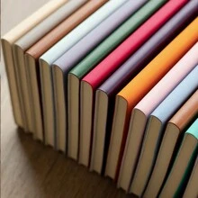 野花图案个性化精装笔记本，女士定制笔记本，送给她的礼物，母亲节礼物，花卉感恩日记本，可定制字母，装饰性强，多功能，可重复使用，色彩缤纷，复古，可爱，卡通，现代，卡哇伊，定制，个性化，独特，个性化定制贴纸，送给他的理想礼物，送给她的理想礼物，男朋友，女朋友，家人，朋友，孩子，同事，学生，客户，她，商务/工作/办公室，学校，返校，学习用品，返校，办公室，学校，教室，教师礼物，大学，同事，宿舍，教师，男女皆宜，青少年，初中生，中学生，高中生，大学生学生、大一、大二、低年级学生、当季精选、办公及学习用品、定制笔记本、圣诞礼品用品 - 彩色 - 查看 4