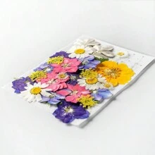 35pcs Dried Pressed Flowers For Resin Molds, Real Pressed Flowers Dry Leaves Kit For Art Crafts Resin Jewelry Making Scrapbook Supplies Card Making Soap Candle DIY Nails Decor| Valentine Day's Gift| Couple Gift| Christmas Gift Xmas Gift| Halloween Gift Decor