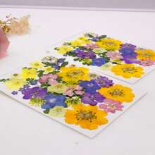 35pcs Dried Pressed Flowers For Resin Molds, Real Pressed Flowers Dry Leaves Kit For Art Crafts Resin Jewelry Making Scrapbook Supplies Card Making Soap Candle DIY Nails Decor| Valentine Day's Gift| Couple Gift| Christmas Gift Xmas Gift| Halloween Gift Decor