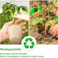 100 Pcs Fibre Seed Pots, 6cm Round Plant Seed Seedling Pots - Brown - View 6