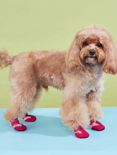 Zapatos de verano para mascotas, zapatos casuales de malla transpirable con suela blanda para interiores para perros tipo Teddy y Poodle
