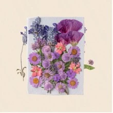 35pcs Dried Pressed Flowers For Resin Molds, Real Pressed Flowers Dry Leaves Kit For Art Crafts Resin Jewelry Making Scrapbook Supplies Card Making Soap Candle DIY Nails Decor| Valentine Day's Gift| Couple Gift| Christmas Gift Xmas Gift| Halloween Gift Decor
