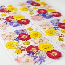 35pcs Dried Pressed Flowers For Resin Molds, Real Pressed Flowers Dry Leaves Kit For Art Crafts Resin Jewelry Making Scrapbook Supplies Card Making Soap Candle DIY Nails Decor| Valentine Day's Gift| Couple Gift| Christmas Gift Xmas Gift| Halloween Gift Decor